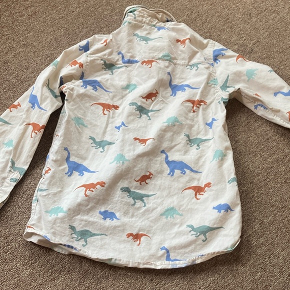 H&M Artistic Blue and Orange Dinosaur Button Down - Picture 8 of 8